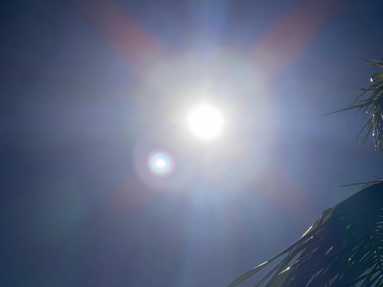 Prevén calor extremo y fuertes vientos en la Comarca Lagunera
