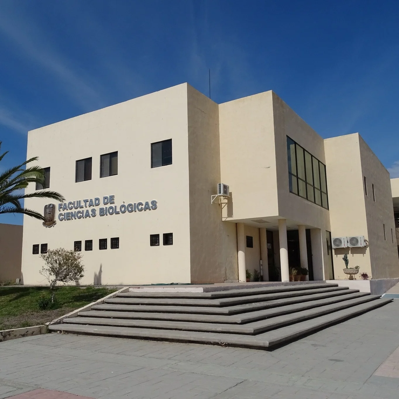 Niños de 6 a 12 años explorarán la ciencia con experimentos y visitas a museos en el curso gratuito "Ciencia Divertida" de la UAdeC.