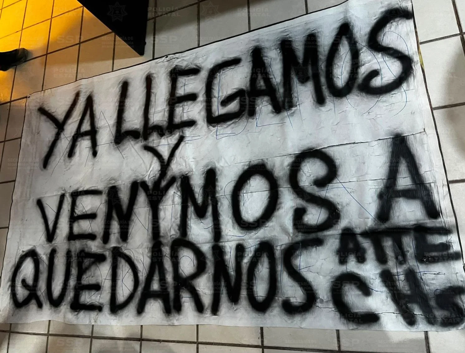 Seis detenidos en Gómez Palacio con drogas, explosivos y un vehículo robado; vinculados al “Tayson”.