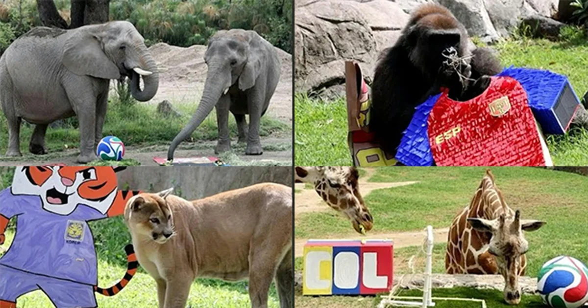 Mundial 2026: Animales de Guadalajara lanzan sus predicciones para el México vs. Sudáfrica