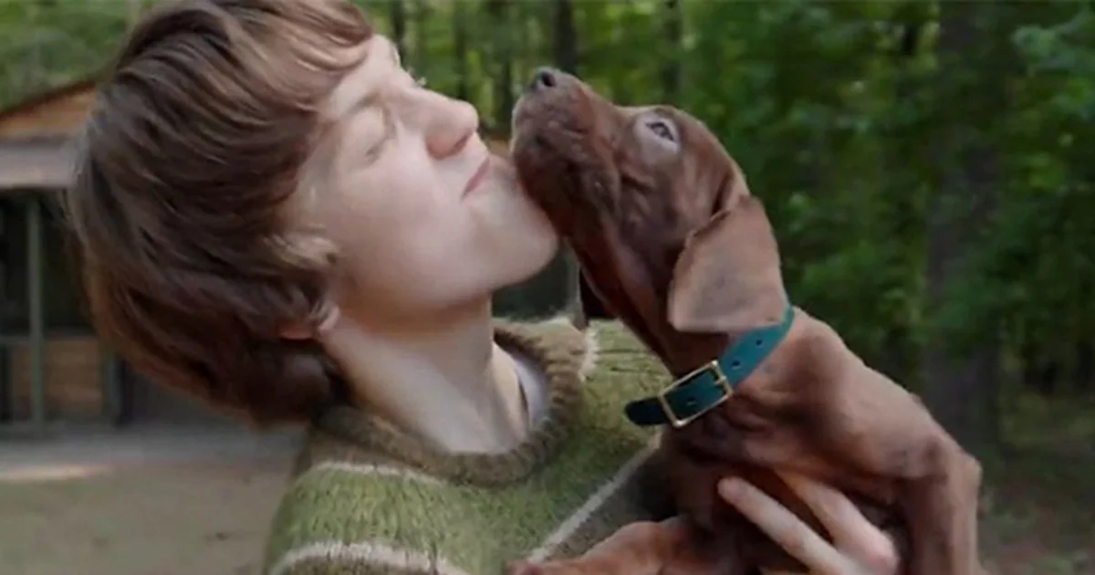 La nueva serie live action mostró a Scooby-Doo en un avance oficial y prepara su llegada a la plataforma de streaming en 2027