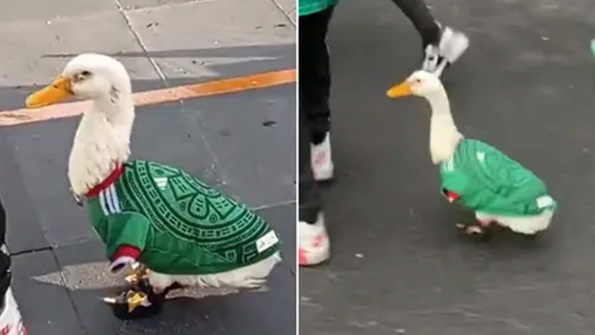 ¡La sensación del futbol! Patito derrite las redes al lucir la playera de la Selección Mexicana