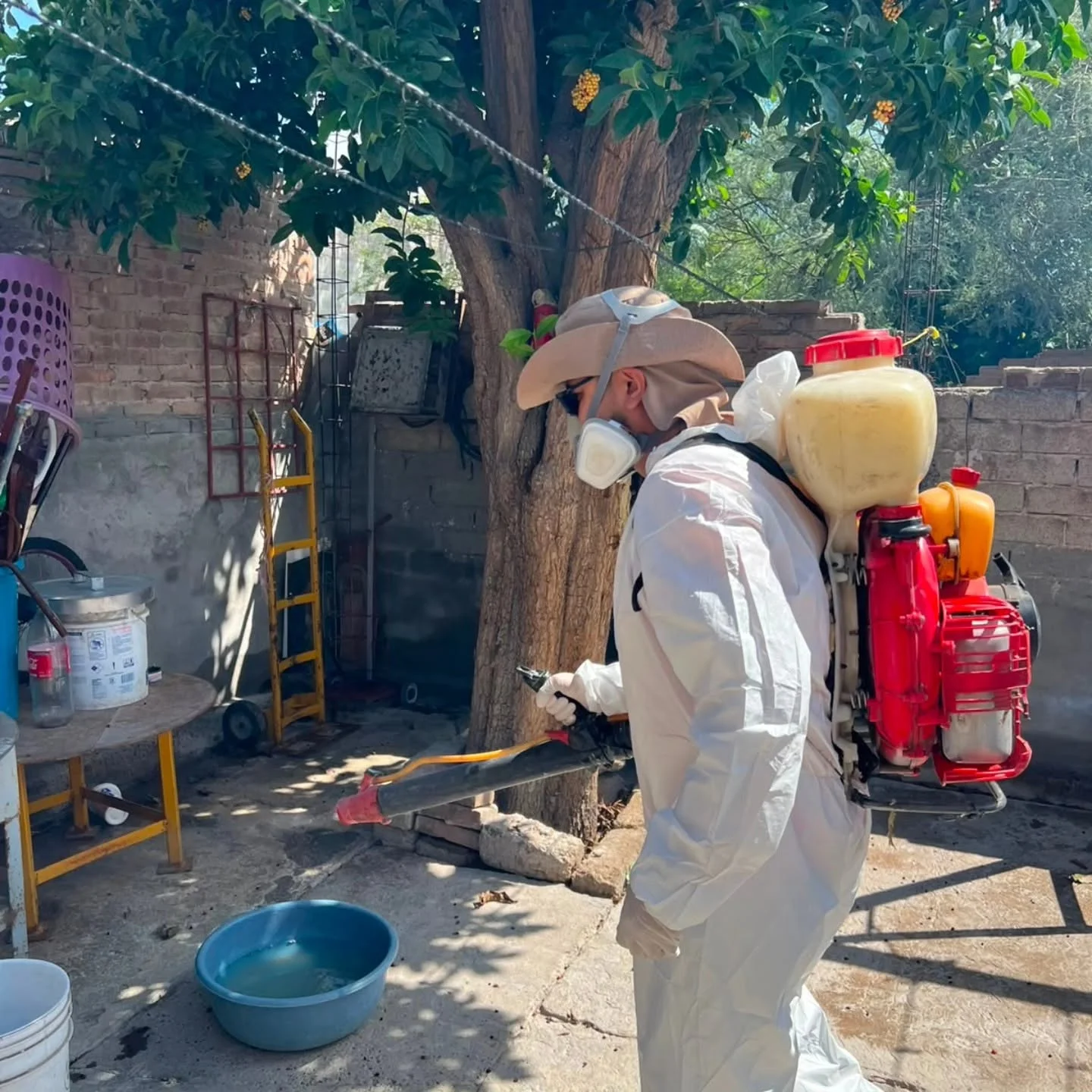 Por lluvias, intensifican fumigaciones en colonias y escuelas de Torreón