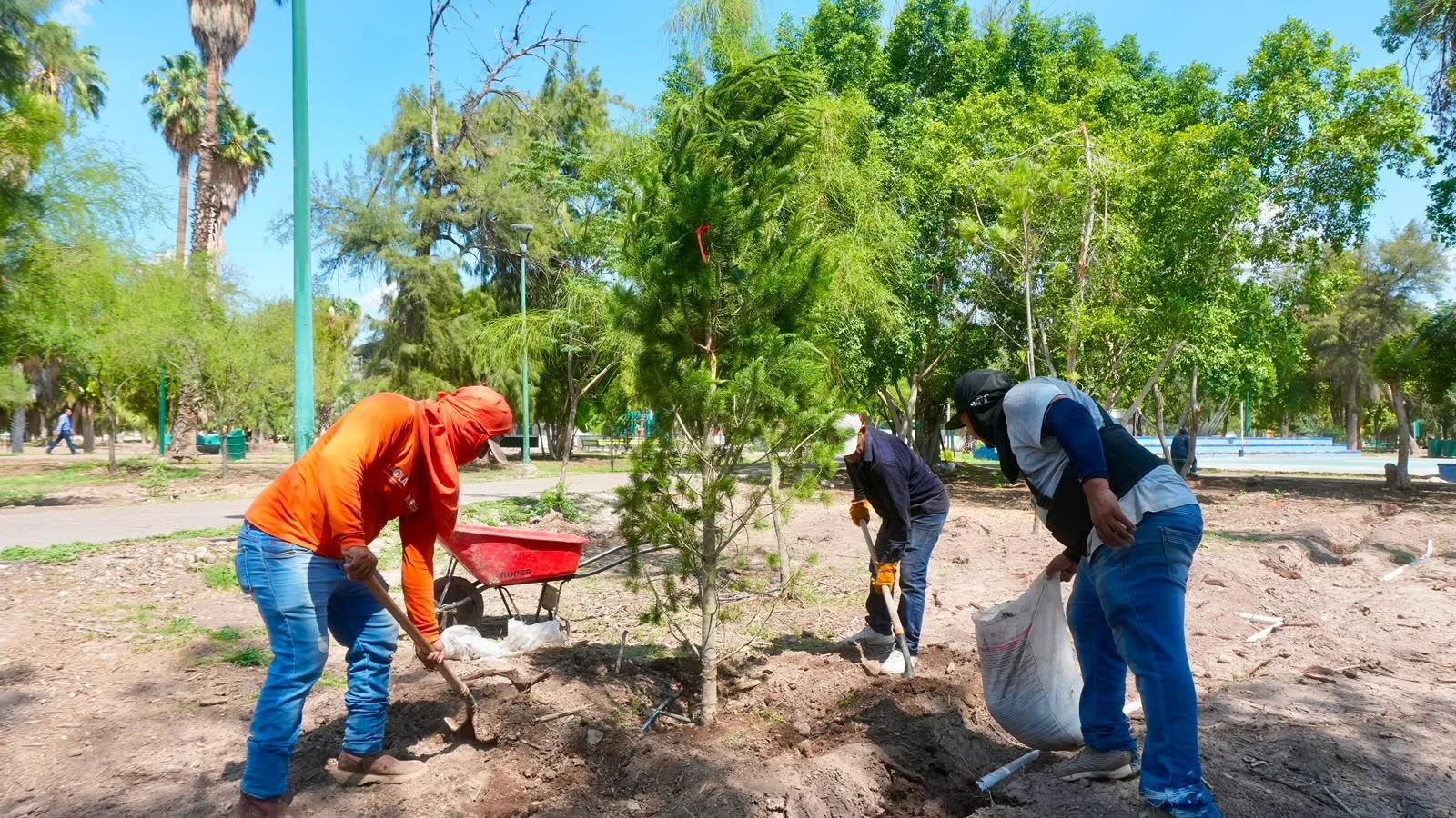 Avanzan mejoras en el Bosque Venustiano Carranza con reforestación, nuevos juegos y espacios deportivos