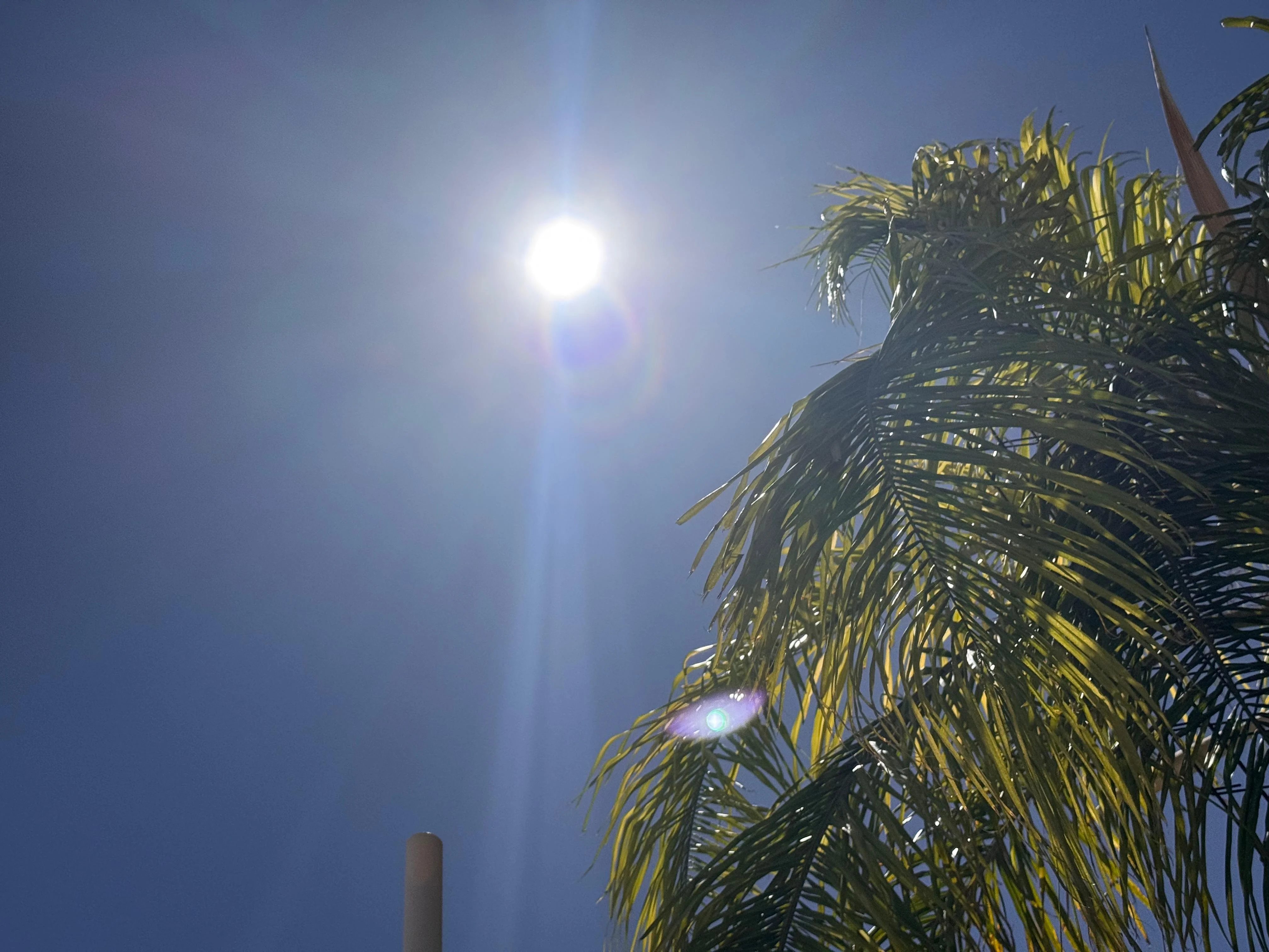 Onda de calor mantendrá temperaturas de hasta 39 grados en La Laguna; prevén ambiente muy caluroso durante la semana