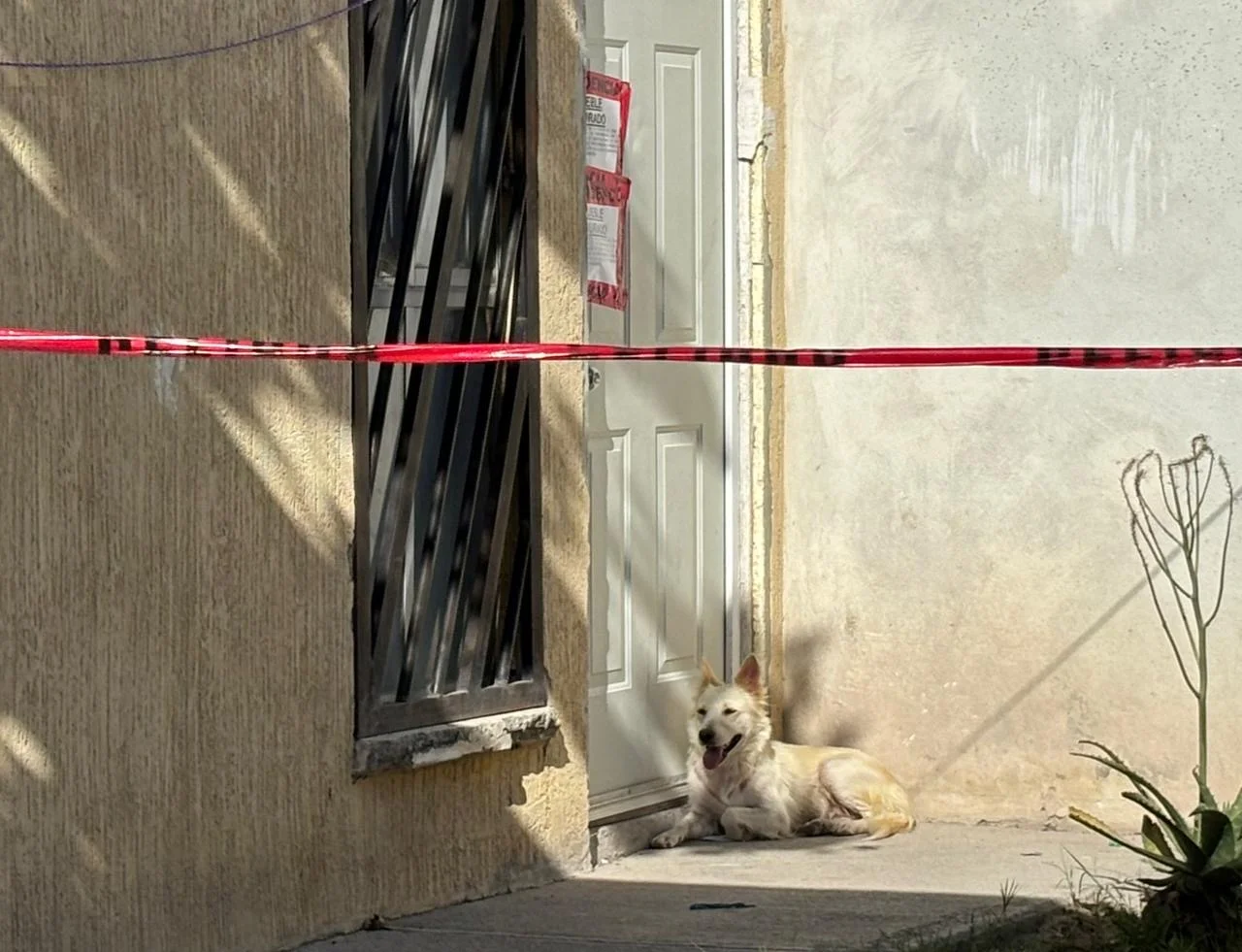 Muere mujer apuñalada presuntamente por su esposo en Gómez Palacio
