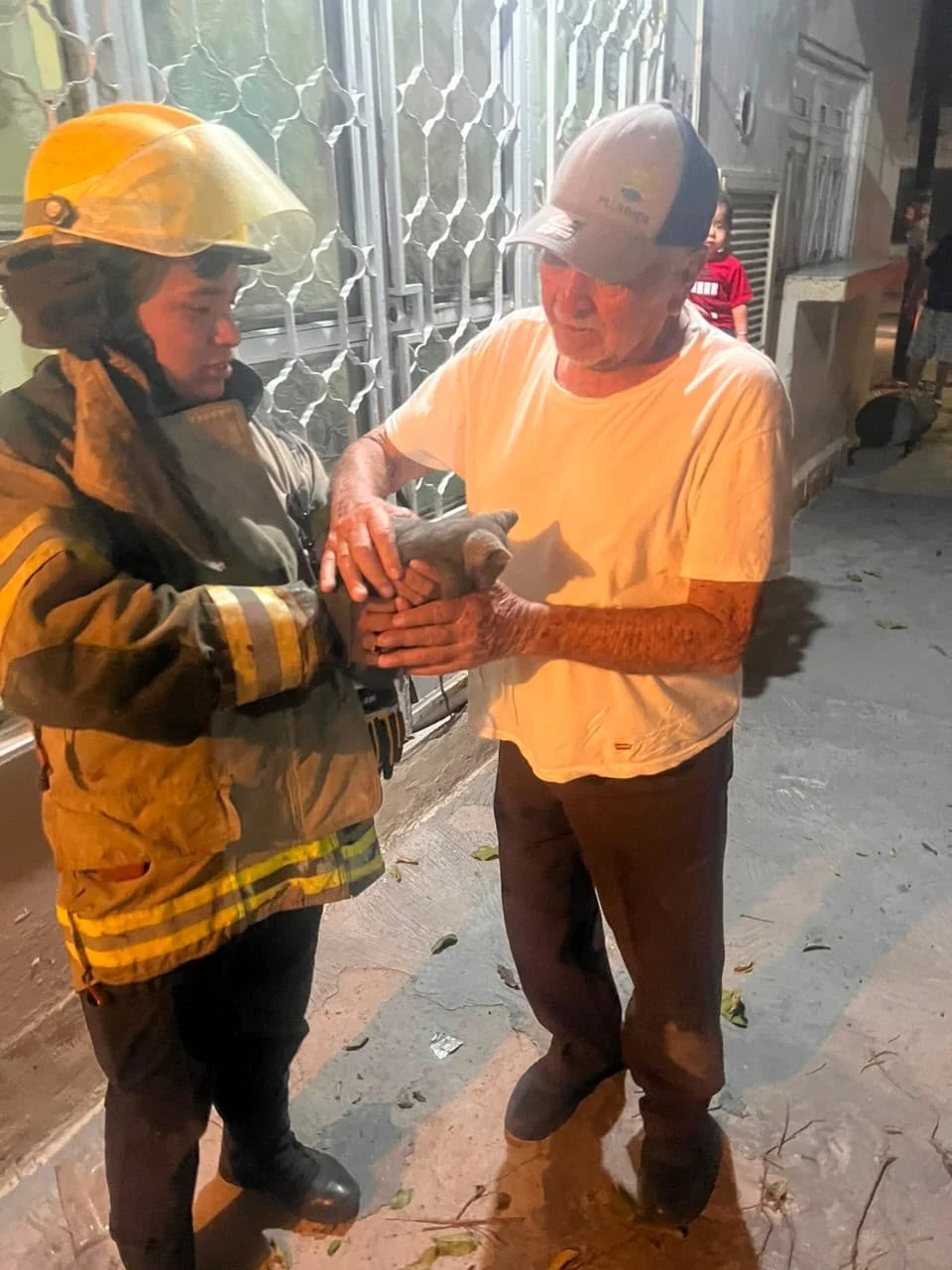 Protección Civil y Bomberos de Torreón supera los 220 rescates de animales en 2026