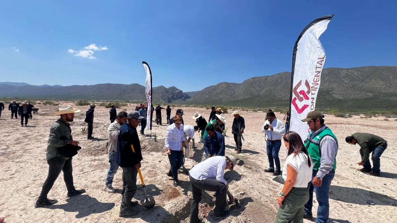 Buscan recargar mantos acuíferos con reforestación de 40 mil agaves en la Sierra y Cañón de Jimulco