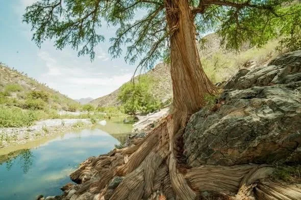 Jimulco se consolida como laboratorio ambiental para medir la captación de agua en Coahuila