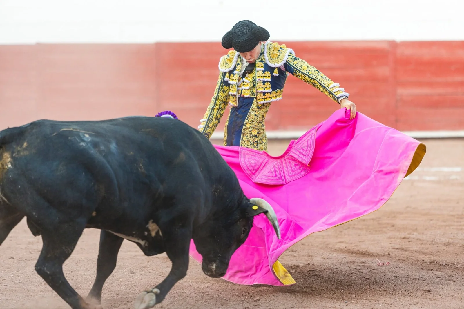 500 años de tauromaquia en México: conmemoran con exposición en Lerdo. Historia, arte y tradición en el Chalet Gorosave.