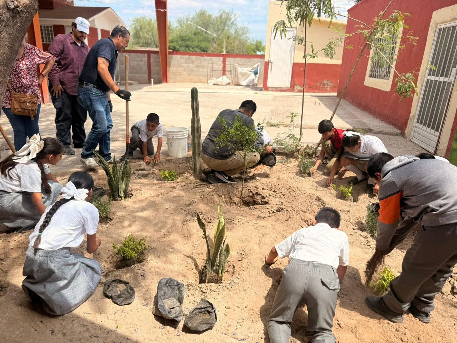 Fortalecen jardines polinizadores en escuelas de Torreón con capacitación ambiental