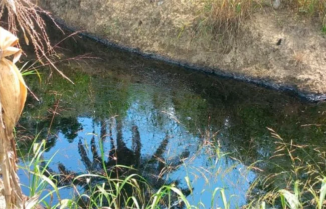 Fuga de crudo en Coatzintla deja sin agua a más de 300 personas y arrasa cultivos; piden a Nahle intervenir.