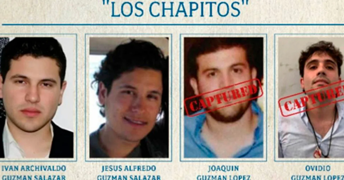 Estos dos vástagos de quien fuera uno de los jefes del Cártel de Sinaloa se centran ahora bajo la mira del gobierno de Donald Trump