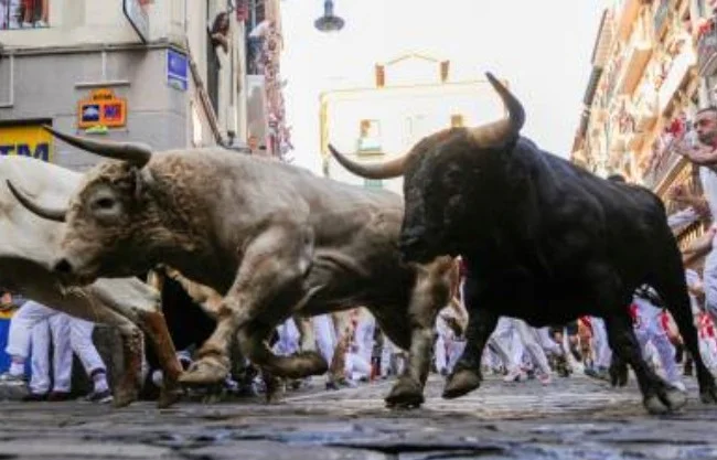 La tradicional fiesta española terminó en tragedia. Una de las víctimas fue herida por el asta de un toro.
