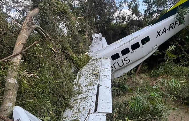 Una avión de la aerolínea Aerus cayó en la Carretera Miguel Alemán, en Pesquería. Al sitio se movilizaron Protección Civil de Nuevo León y Pesquería, Fuerza Civil, Cruz Roja, CRUM y servicios aéreos de la Secretaría de Administración.