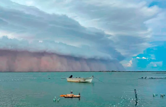 Una impresionante tormenta de arena y polvo sorprendió la tarde de este martes a habitantes y visitantes de Bahía de Kino, en el municipio de Hermosillo, dejando impactantes imágenes que rápidamente se viralizaron en redes socialess
