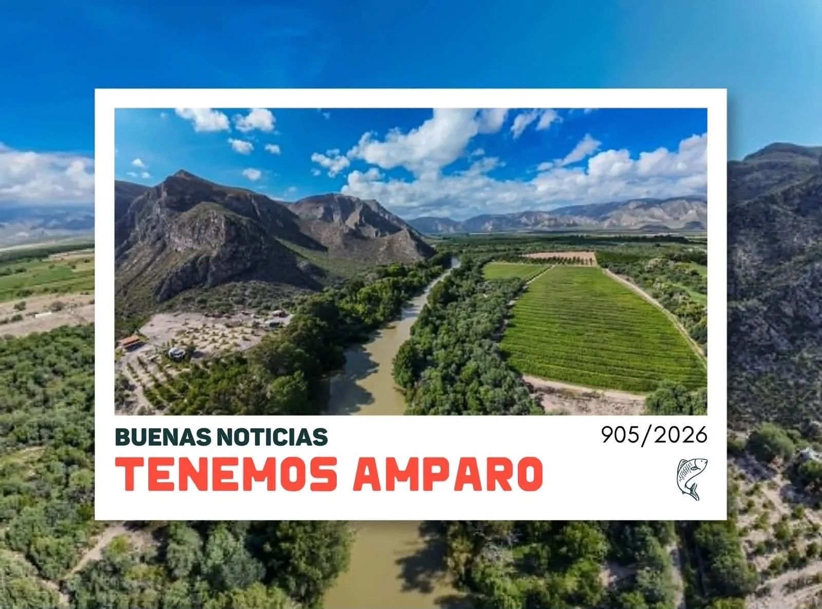 Vecinos de Lerdo se amparan contra planta Fermachem; exigen revisión ambiental y riesgo para la Comarca Lagunera.