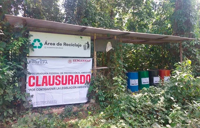 Profepa clausura obras ilegales en Chiapas por daño a ecosistemas protegidos
