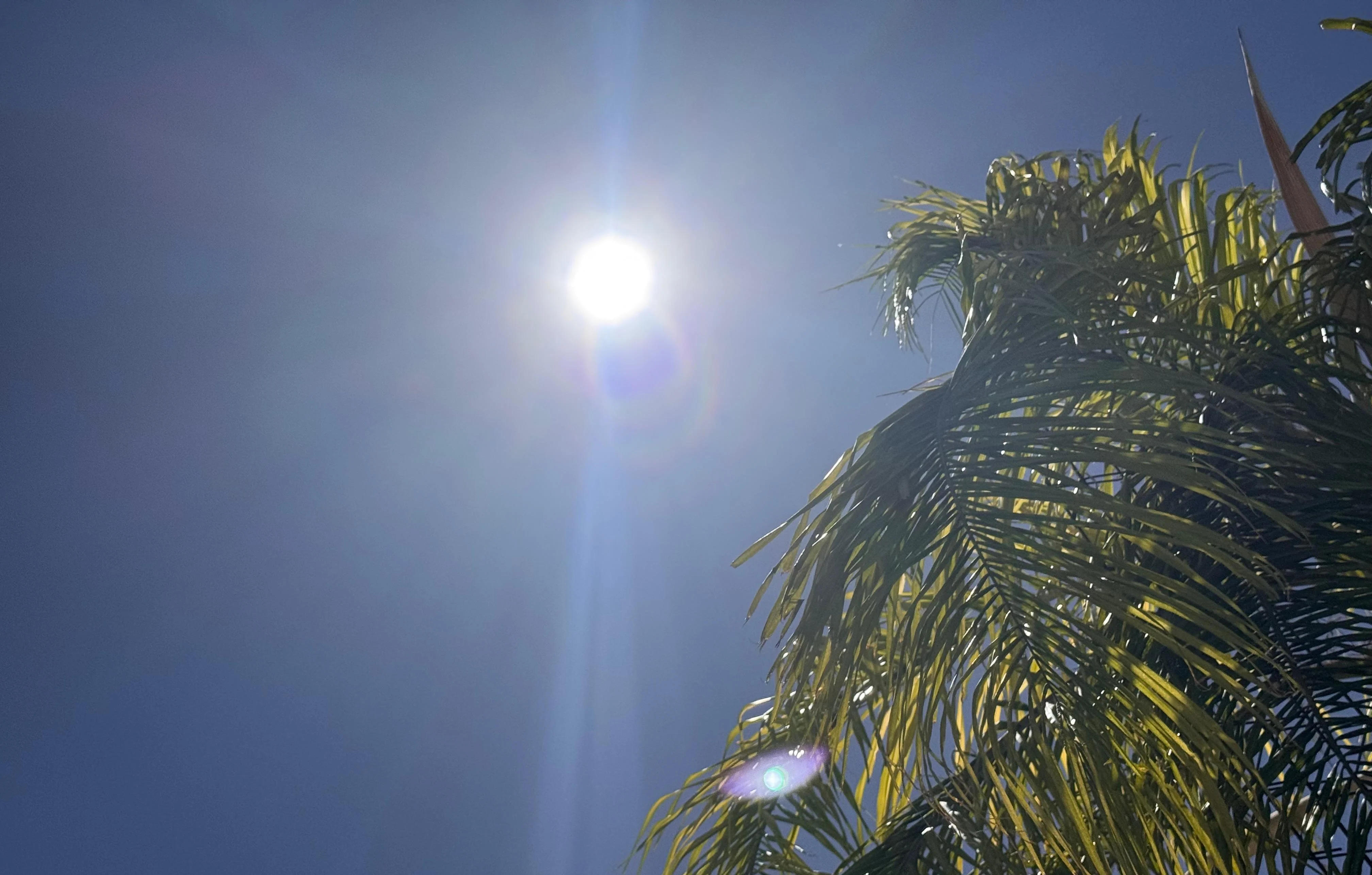 Continuará el calor en La Laguna; prevén temperaturas de hasta 39 grados