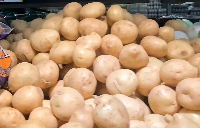 En esta región Sureste en la sierra de Arteaga se produce este tubérculo, principalmente en invernadero, lo que podría ser un atenuante en el costo