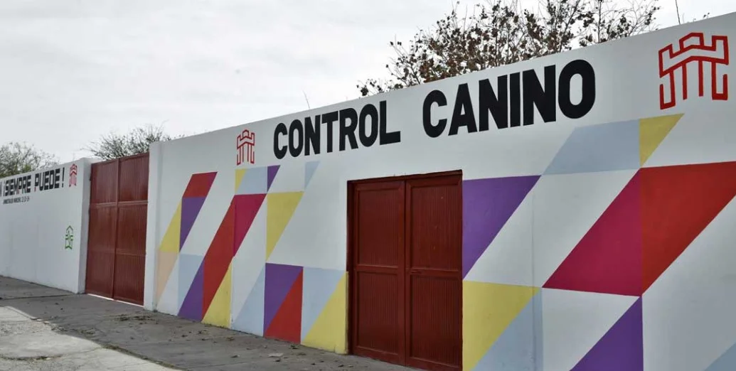 Control Canino celebra el Día del Perro con adopción y atención gratuita este 21 de julio.