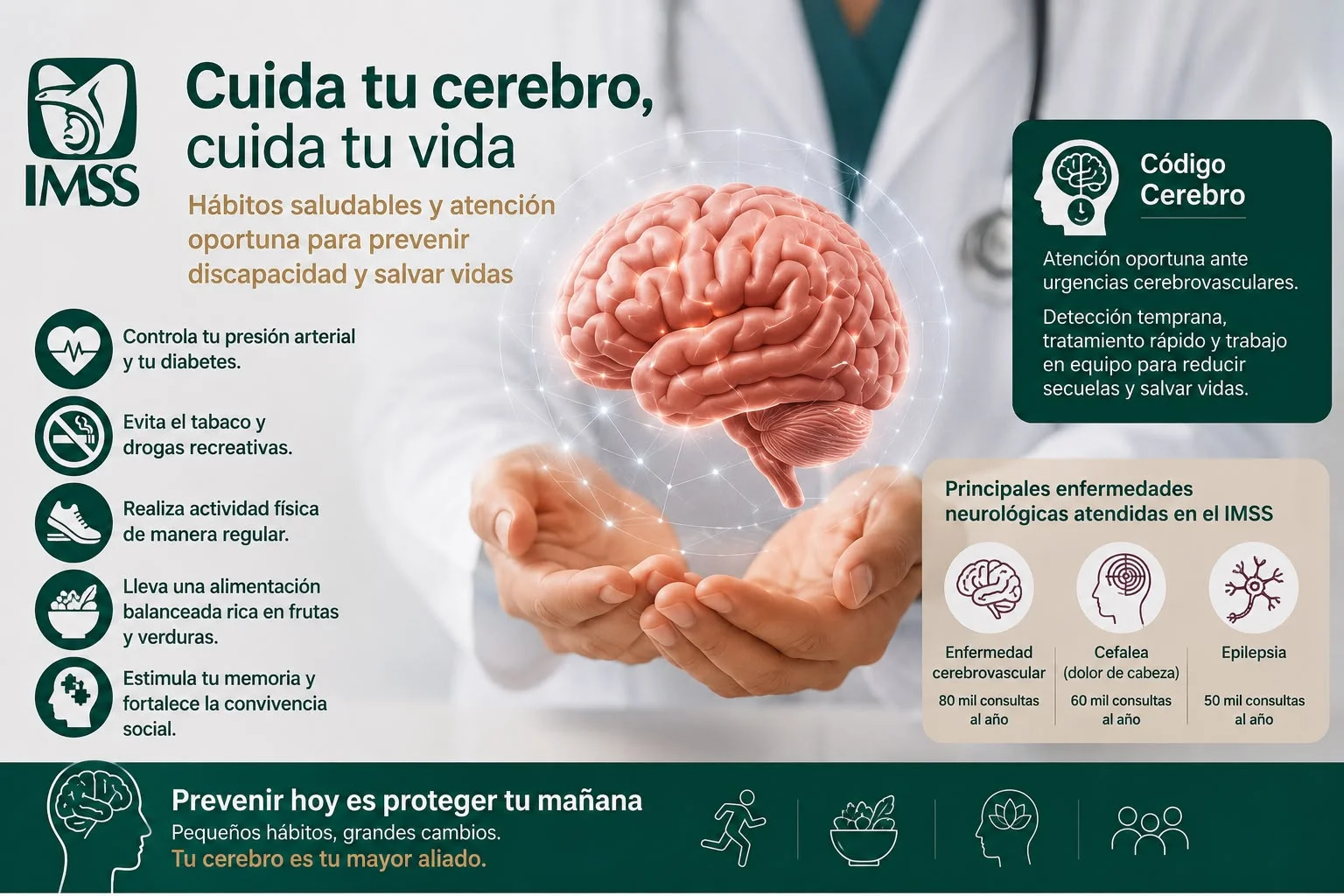 IMSS impulsa el cuidado del cerebro con prevención y atención oportuna para reducir discapacidad y mortalidad