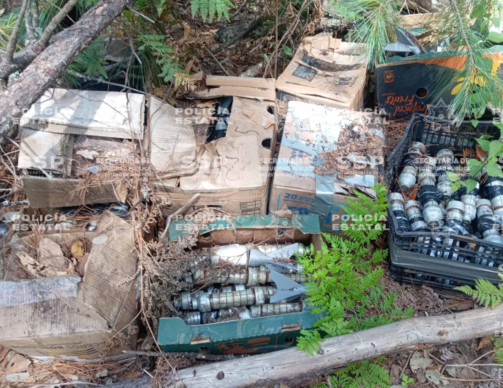 Policía Estatal, Defensa, Guardia Nacional y Policía Municipal aseguran artefactos explosivos en Tamazula, Dgo