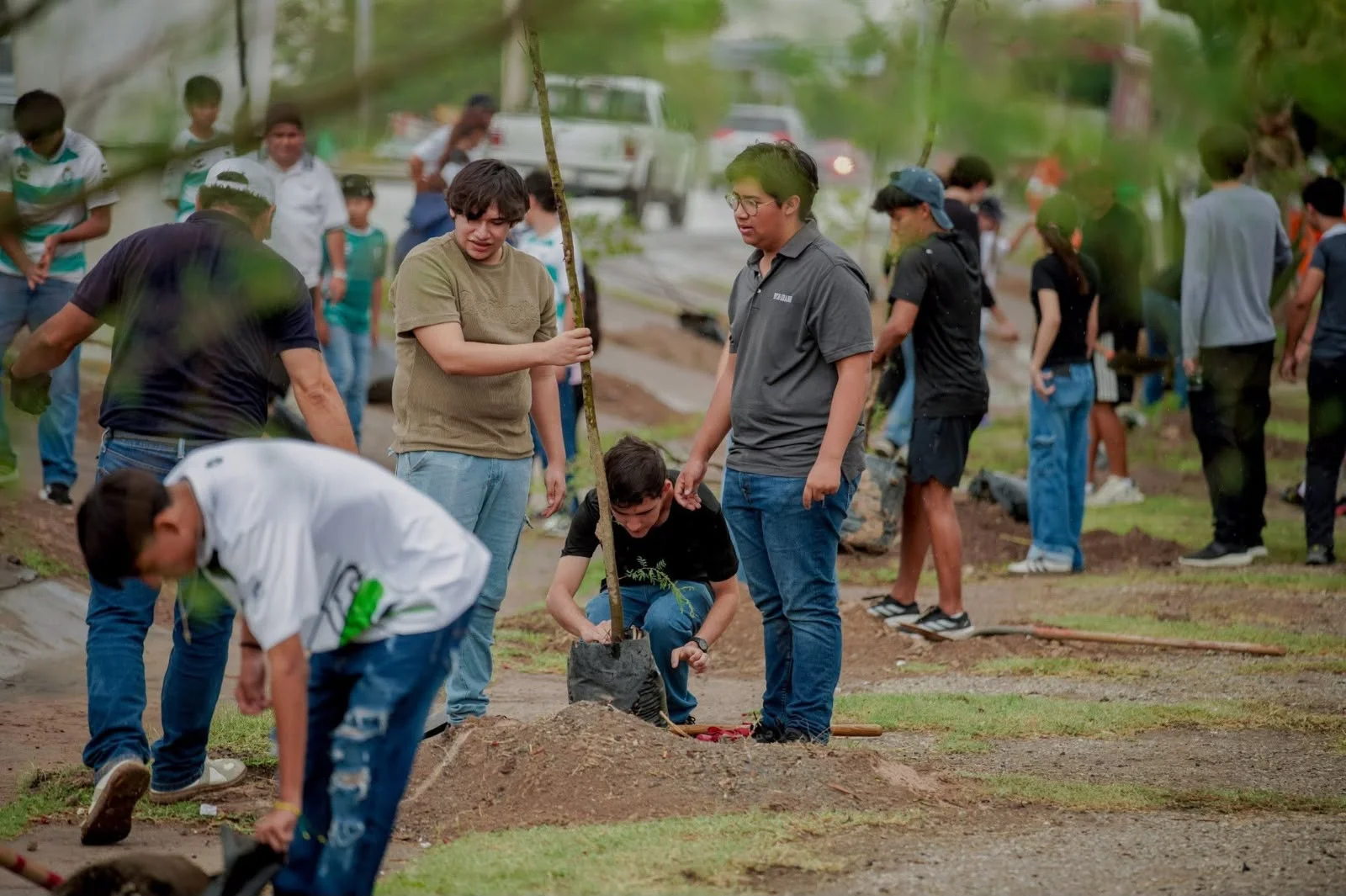 Inician primera etapa de reforestación en el Periférico Raúl López Sánchez; plantarán 216 árboles