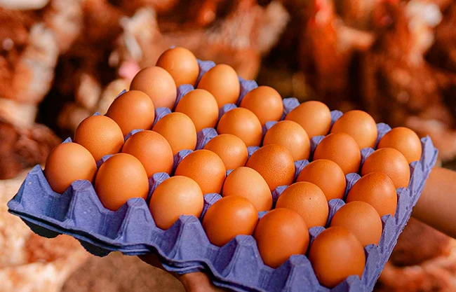 ¿Cómo saber si los huevos que compraste tienen salmonela? Retiran más de 19 millones de unidades