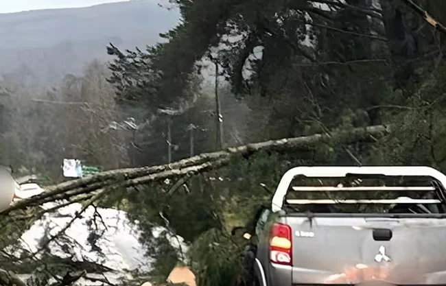 Dos muertos y más de 300 damnificados deja fuerte temporal en Chile