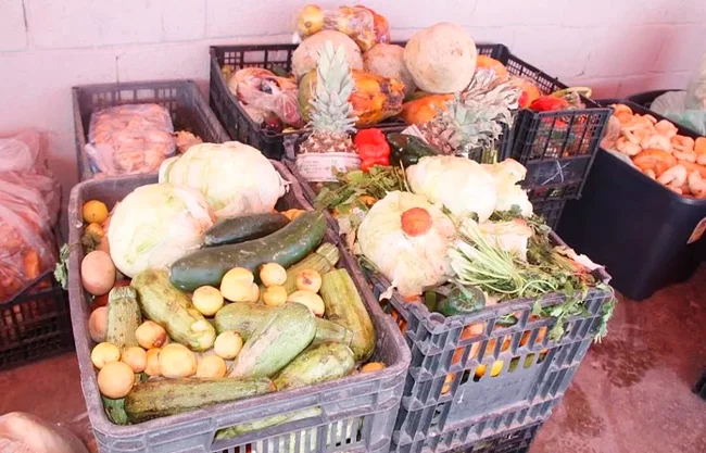 México desperdicia hasta 38 toneladas de alimentos por minuto