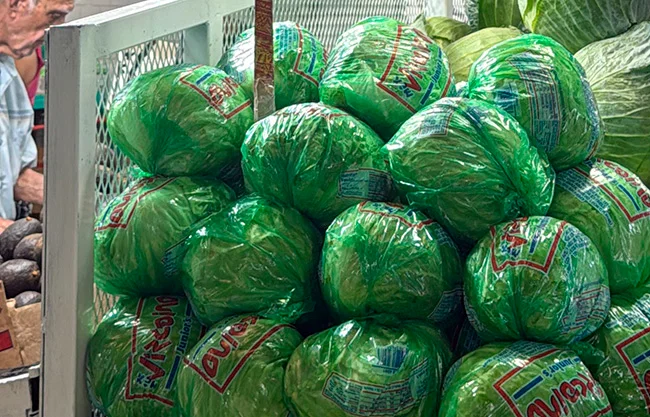 Nuevo León registra la caída más baja del precio de la lechuga a nivel nacional por Cyclospora