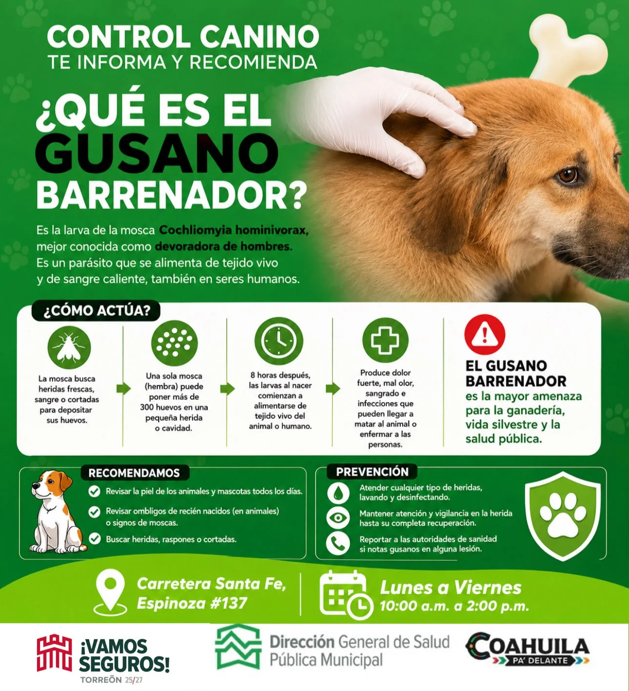 Control Canino alerta sobre el gusano barrenador en mascotas