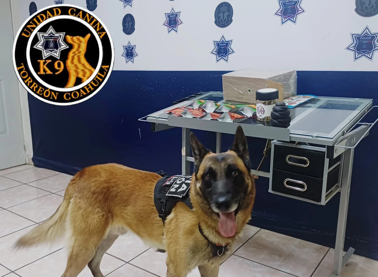 Asegura Grupo K9 cigarrillos con marihuana y productos con THC en paquetería de Torreón