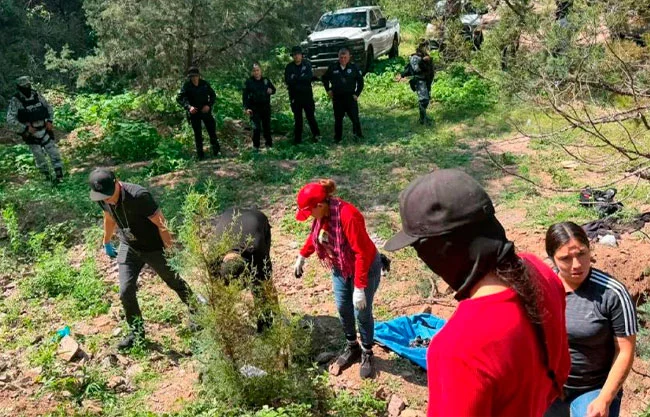 Colectivos de búsqueda localizan fosas clandestinas y restos humanos en tres estados