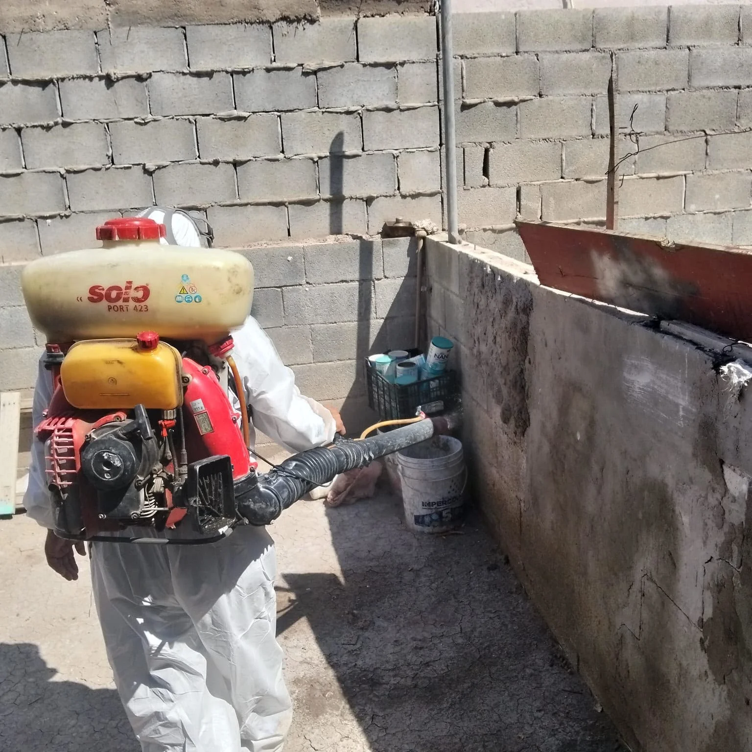Refuerzan fumigación y contra dengue y rickettsia en Torreón