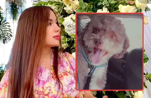 Muere abogada que protegió con su cuerpo a su perrito durante el terremoto en Colombia