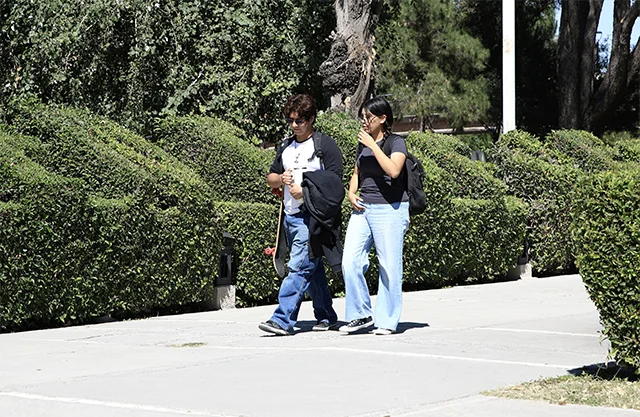 Les piden experiencia, pero no reconocen su servicio social: el reto laboral de los jóvenes