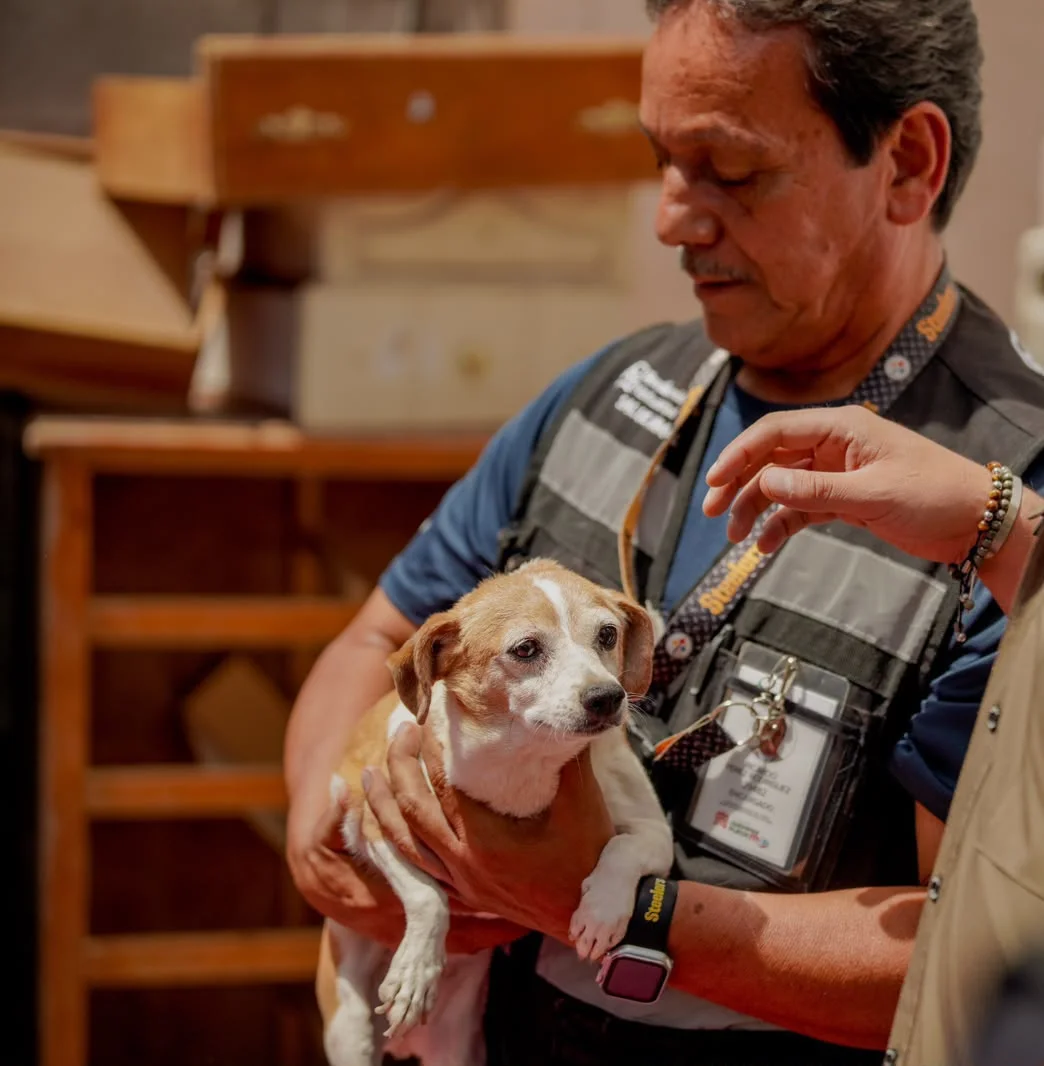 Defensoría Animalista buscará intervención de Pronnif en casos de maltrato animal con menores involucrados