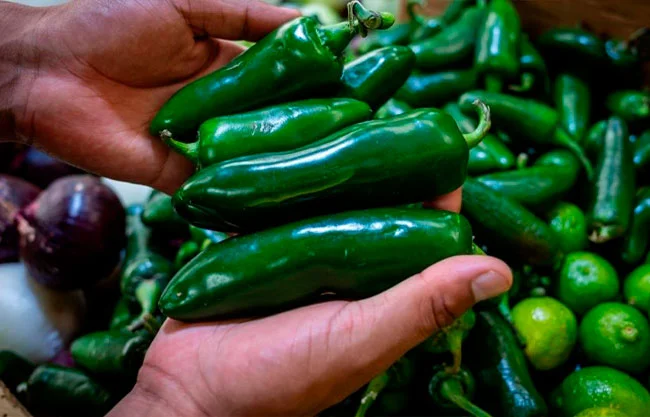 Cofepris descarta presencia de salmonela en empacadora de Nuevo León ligada a alerta de EU