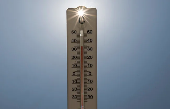 Verano del 2026, el más mortal para Alemania; reportan 14 mil muertes vinculadas al calor