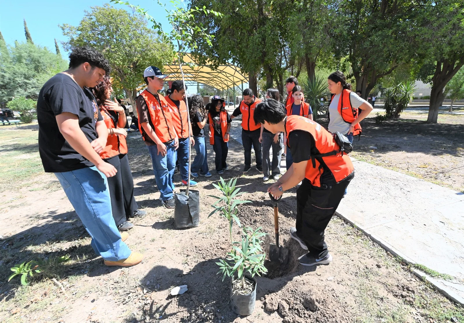 Jóvenes participan en reforestación de la Plaza de la Piña en Torreón