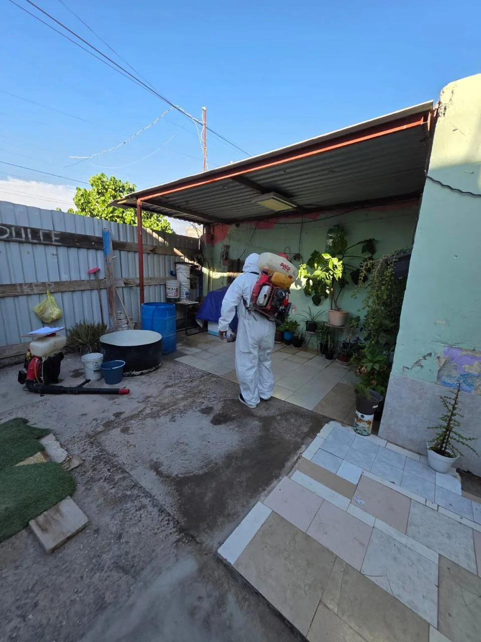 Mantienen fumigación contra dengue y garrapatas en colonias de Torreón