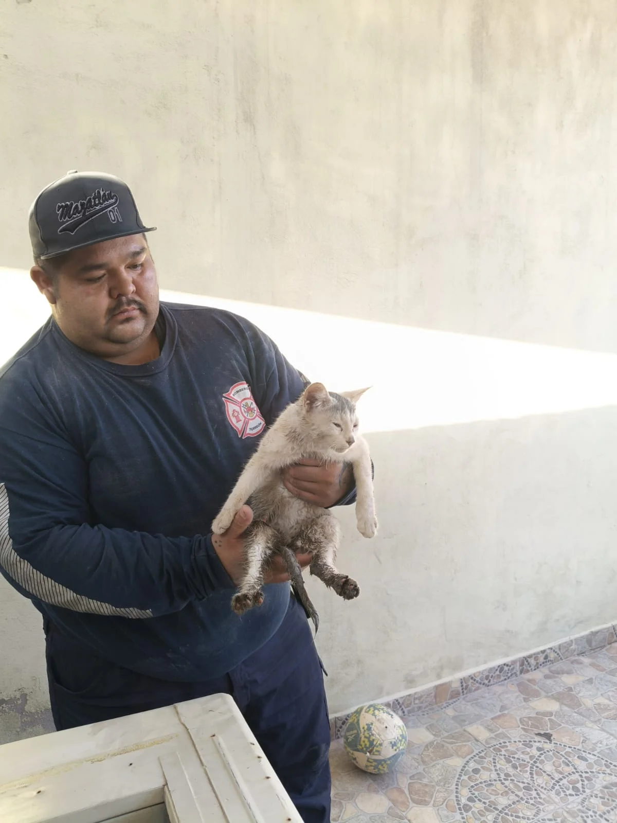 Protección Civil atiende 379 reportes relacionados con animales en Torreón