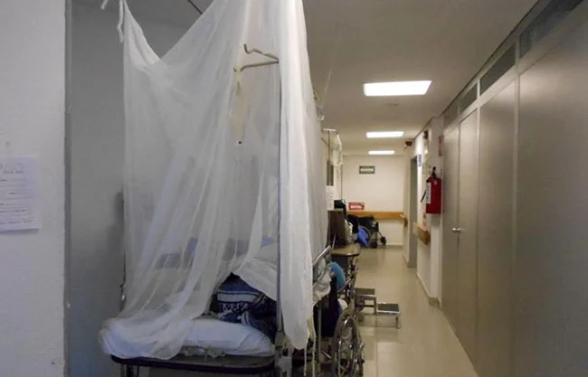 México acumula 4 mil 152 casos de dengue en 2026; Sonora encabeza lista
