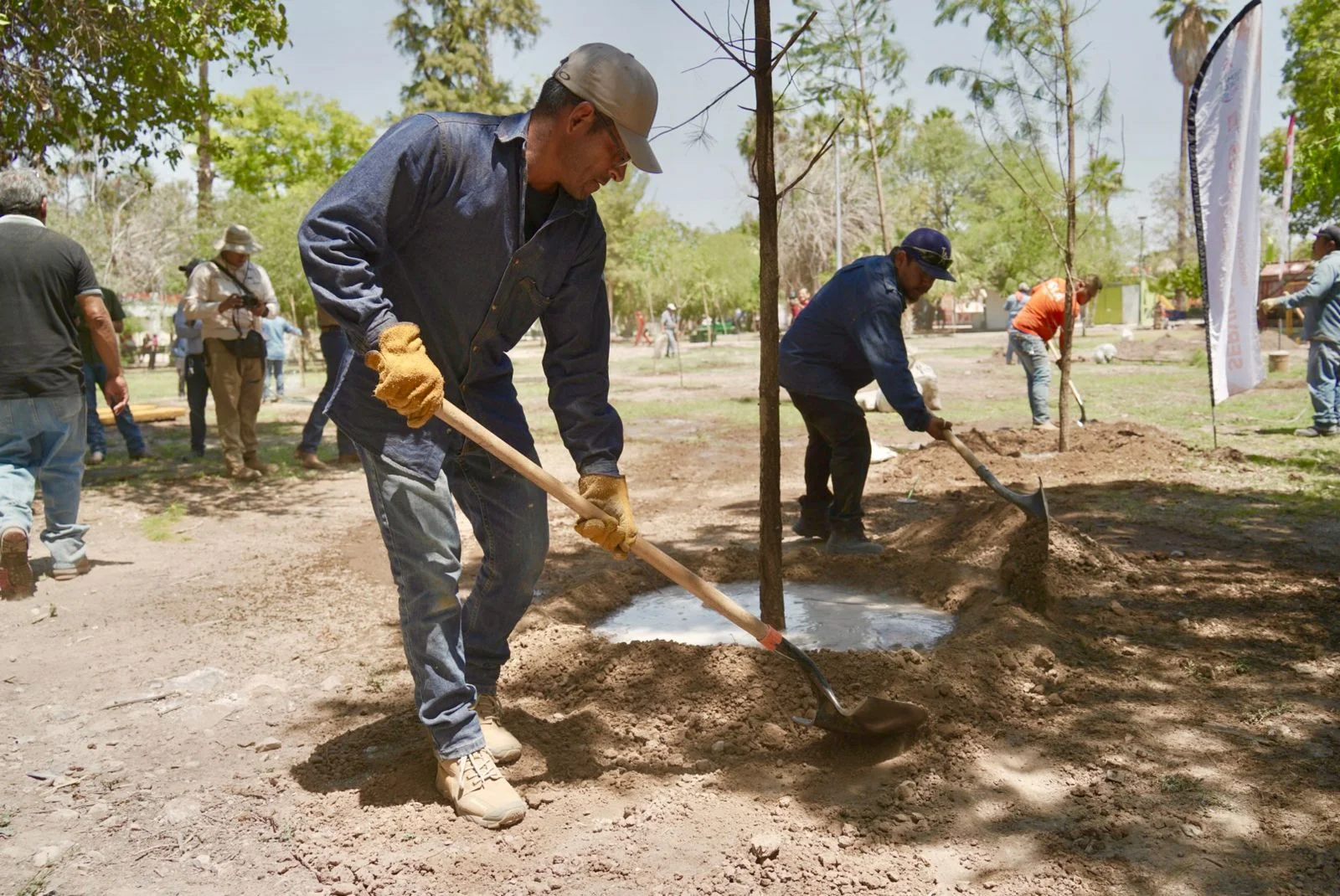 Bosque Venustiano Carranza llegará a mil árboles con tercera etapa de reforestación