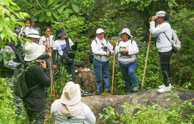 Así funciona la Alerta Nacional de Búsqueda para localizar a personas desaparecidas