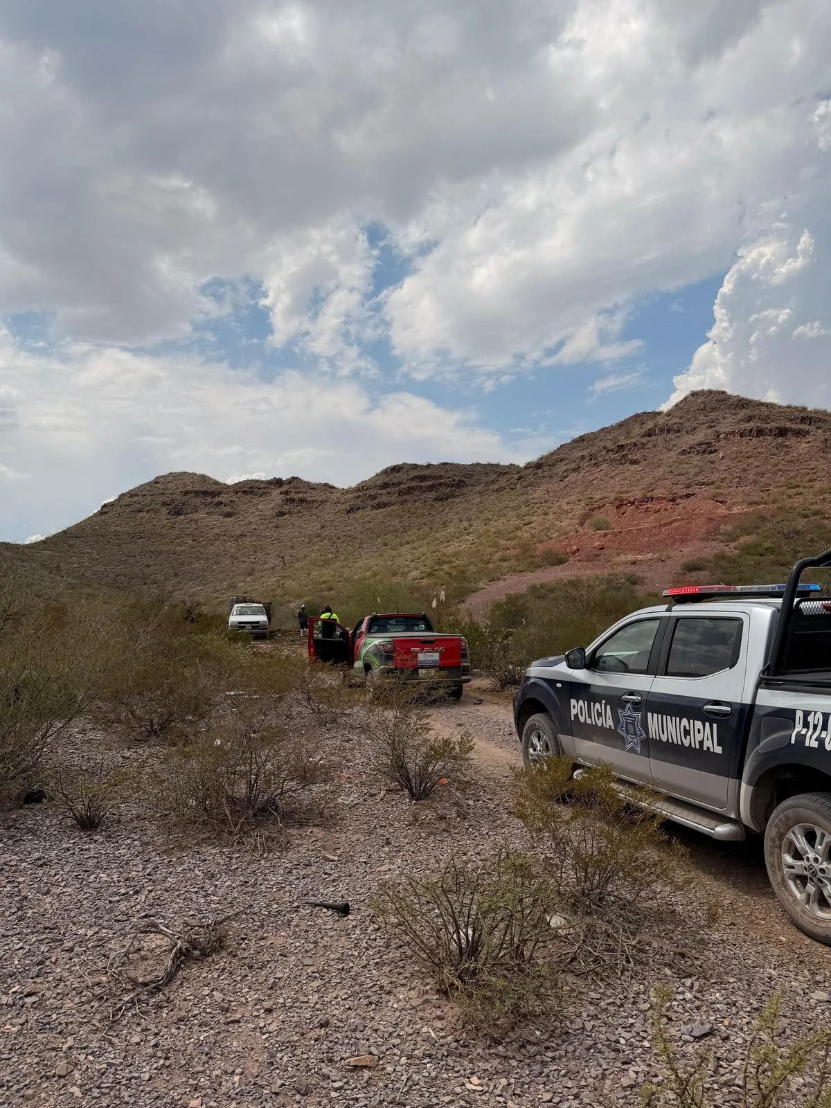 Detiene Policía Ambiental a persona por tirar residuos de animales en Lerdo