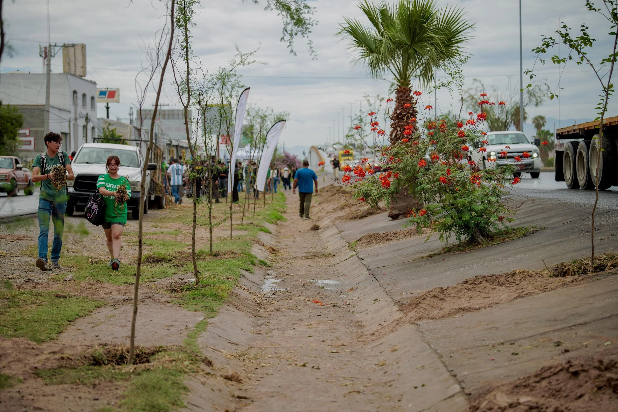 Supera Torreón meta anual de reforestación; van más de 22 mil árboles y plantas