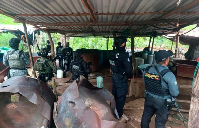 Desmantelan tres narcolaboratorios para metanfetamina en Guerrero, informa Harfuch